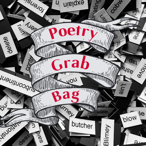 Poetry Magnets Grab Bag / Mystery Surprise Refrigerator Word Quote Magnets / Educational Teacher Writer Poet Gift / Classroom Office Decor