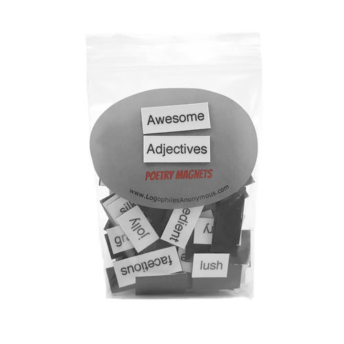 Awesome Adjectives Poetry Magnets / Refrigerator Magnets / Writer Poet Teacher Student Gift / Magnetic Words / Educational / Back to School