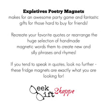 Expletives Poetry Magnets / Refrigerator Magnets / Adult Gift / Gag Gift / Curse Words / Bad Words / Profane Words / Profanity / Swear Word