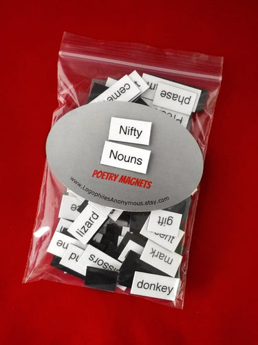 Nifty Nouns Poetry Magnets - Refrigerator Word Quote Magnets - Free US Shipping